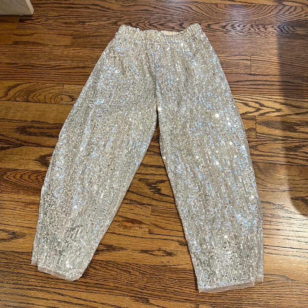Zara Sequin Pants